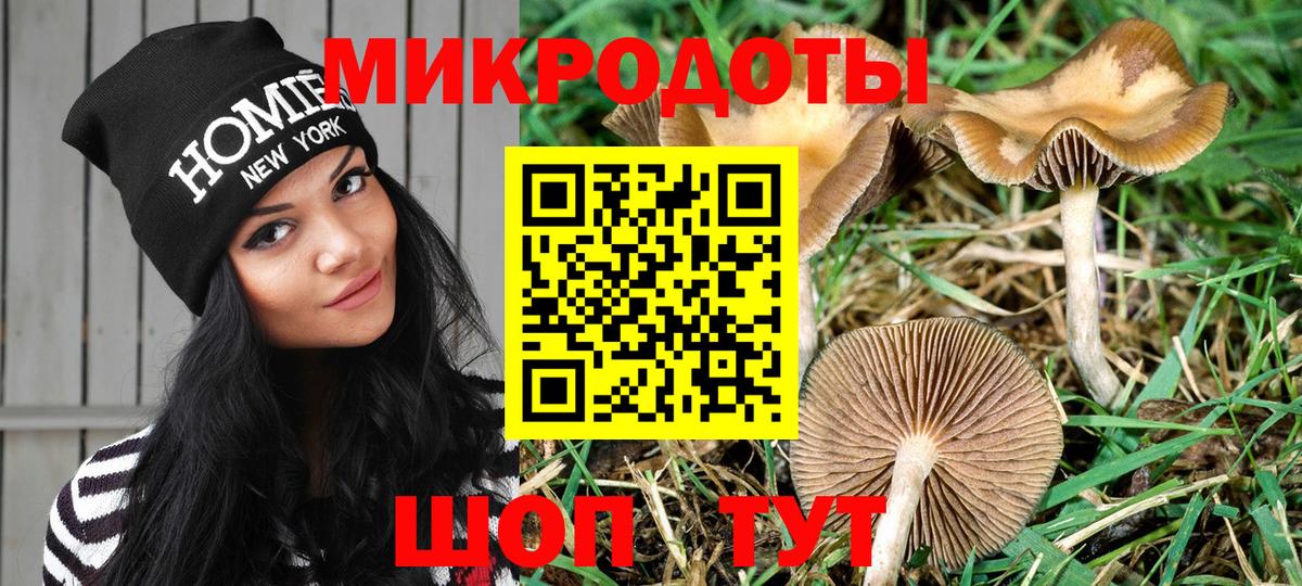 Галлюциногенные грибы Psilocybine cubensis Киров