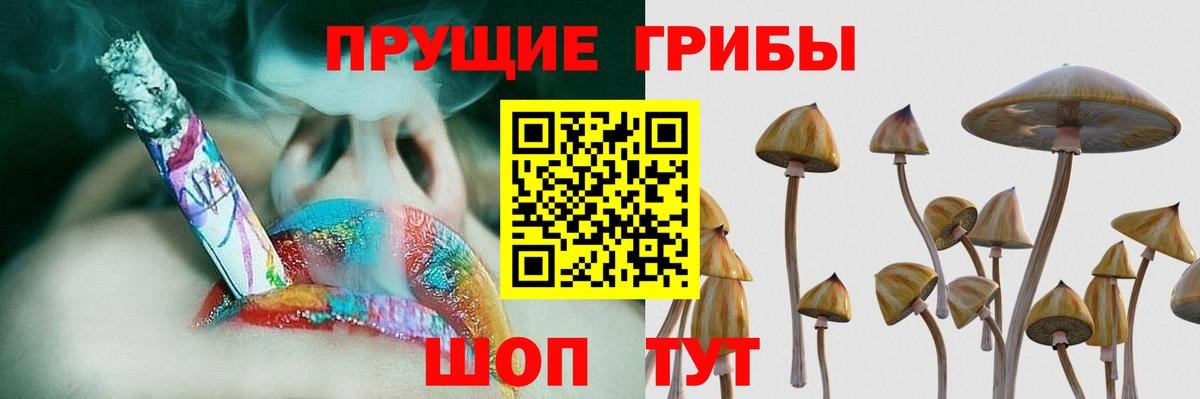 Псилоцибиновые грибы Psilocybine cubensis  Вход с VPN  Киров  Галлюциногенные грибы GOLDEN TEACHER 